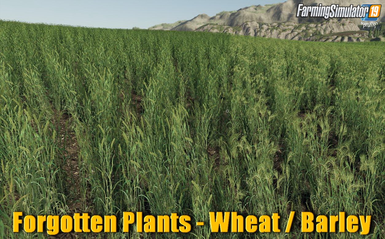 Forgotten Plants - Wheat / Barley v1.0 for FS19