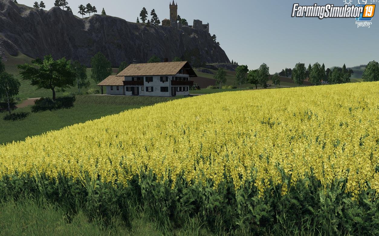 Forgotten Plants - Sunflower/Canola v1.0 for FS19