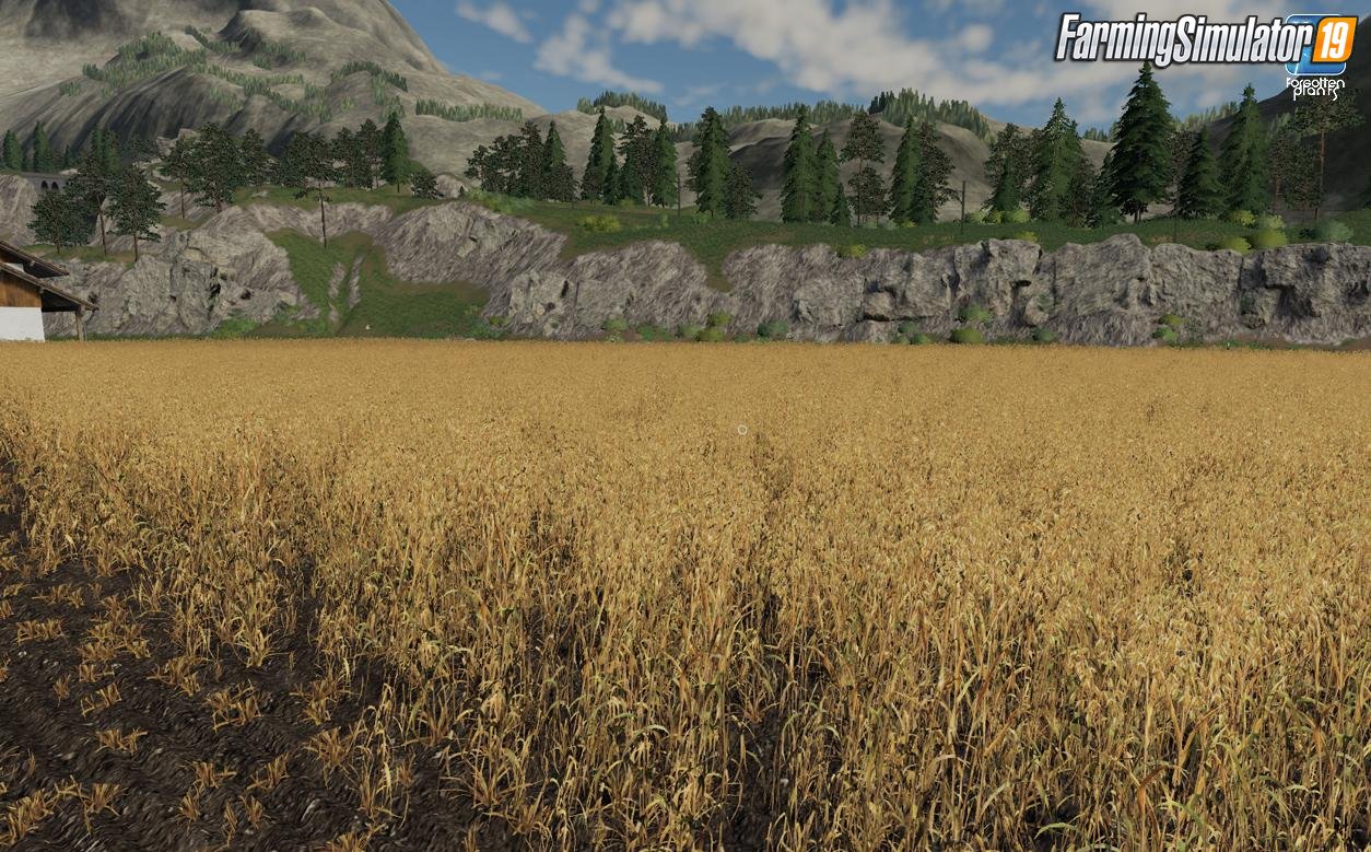 Forgotten Plants - Oat v1.0 for FS19