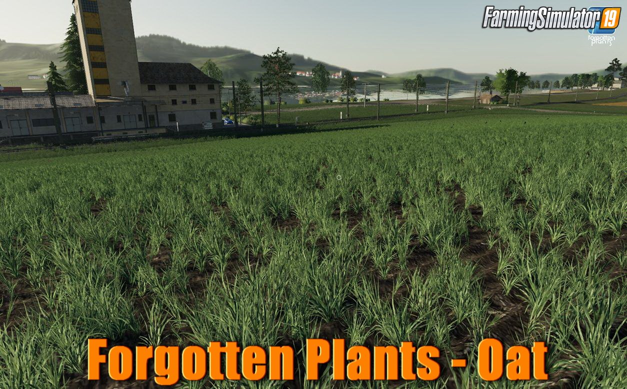 Forgotten Plants - Oat v1.0 for FS19