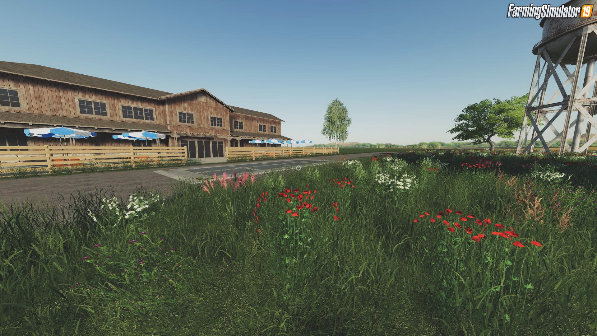 Honey Dew farms XL Map v1.0 by Tinman for FS19