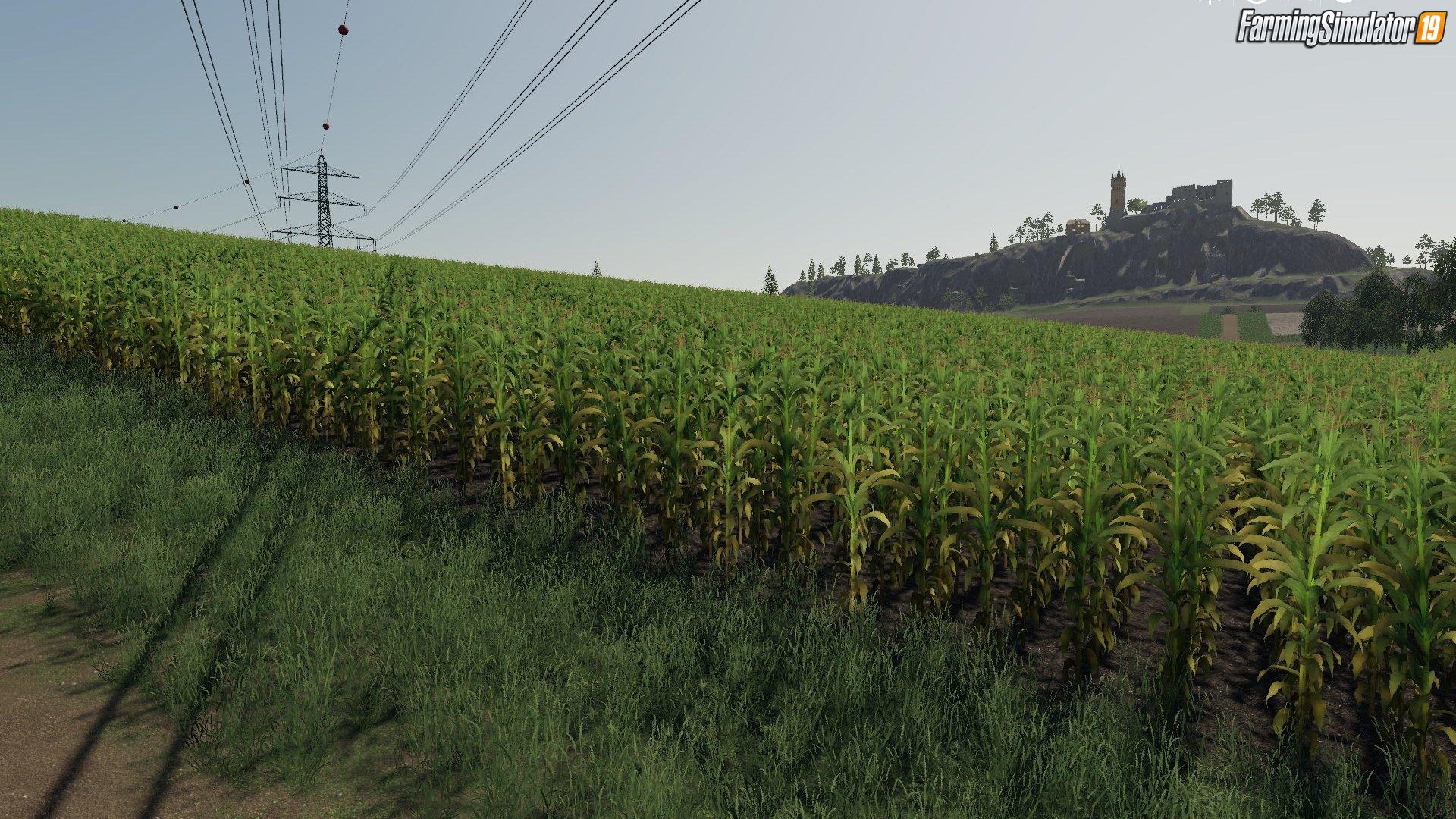 Foilage & Tree Shadows by Eepsquared for FS19