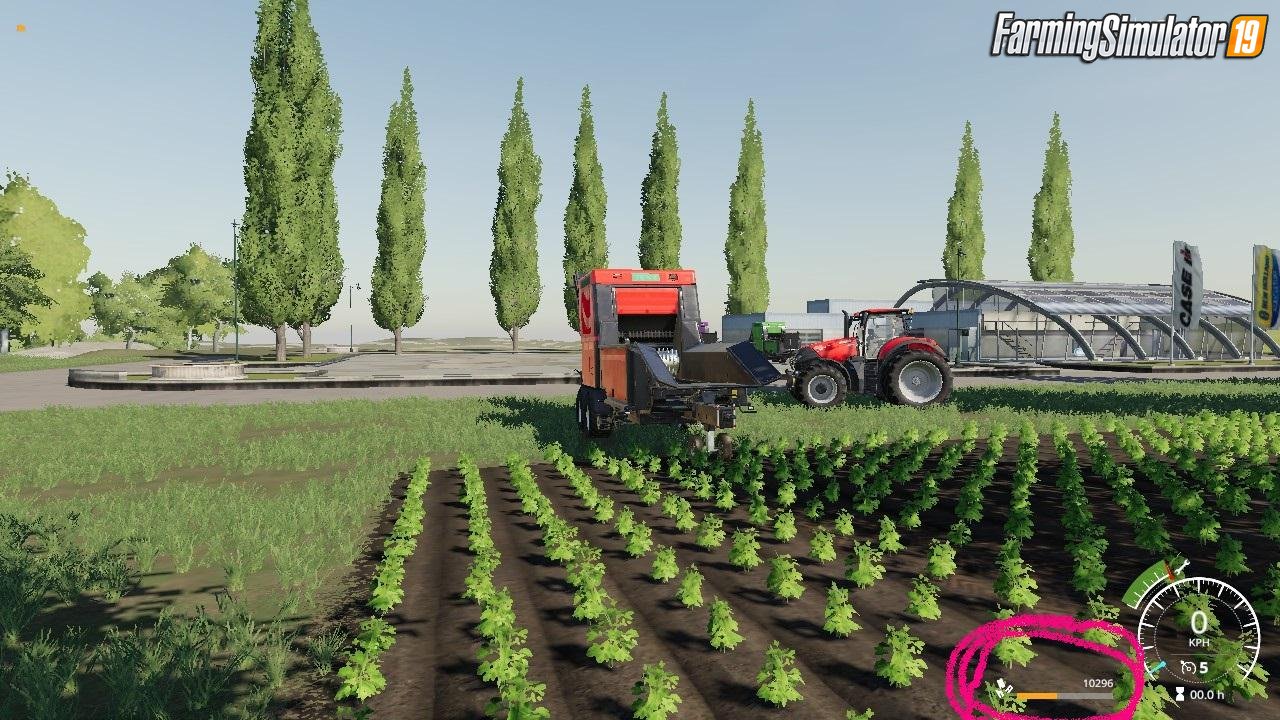 Forestry Equipment Pack v1.0 by BK Nation Modding for FS19