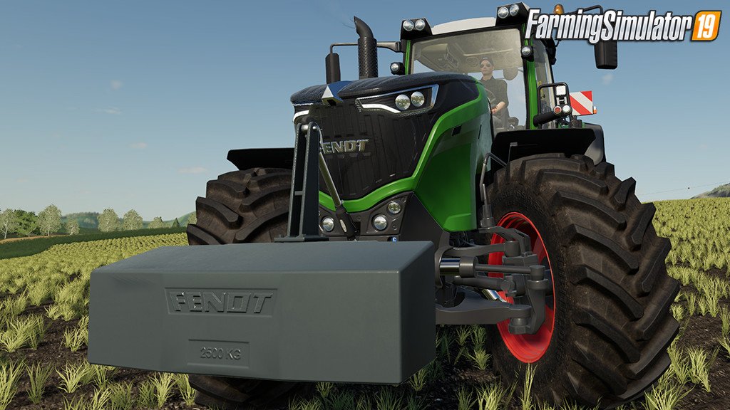 Fendt Weight Pack by Smety (CMT) for FS19