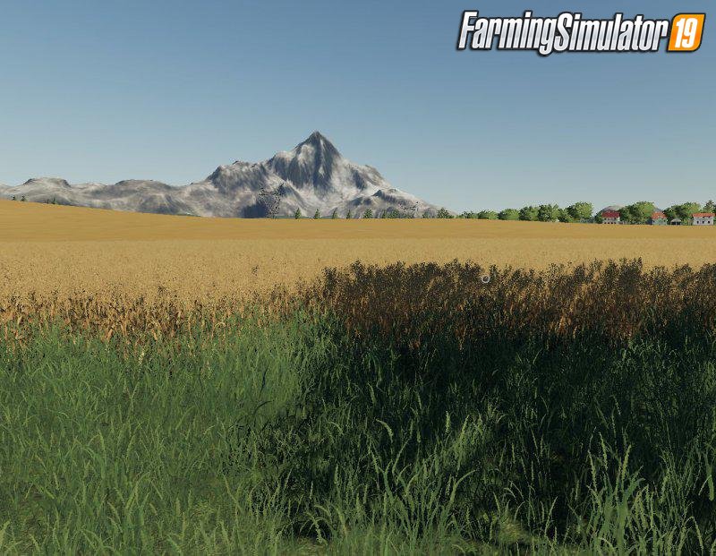 Wisniowo Map 2019 v1.1 for FS19