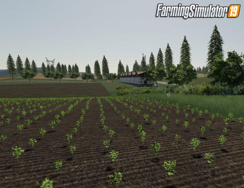 Wisniowo Map 2019 v1.1 for FS19