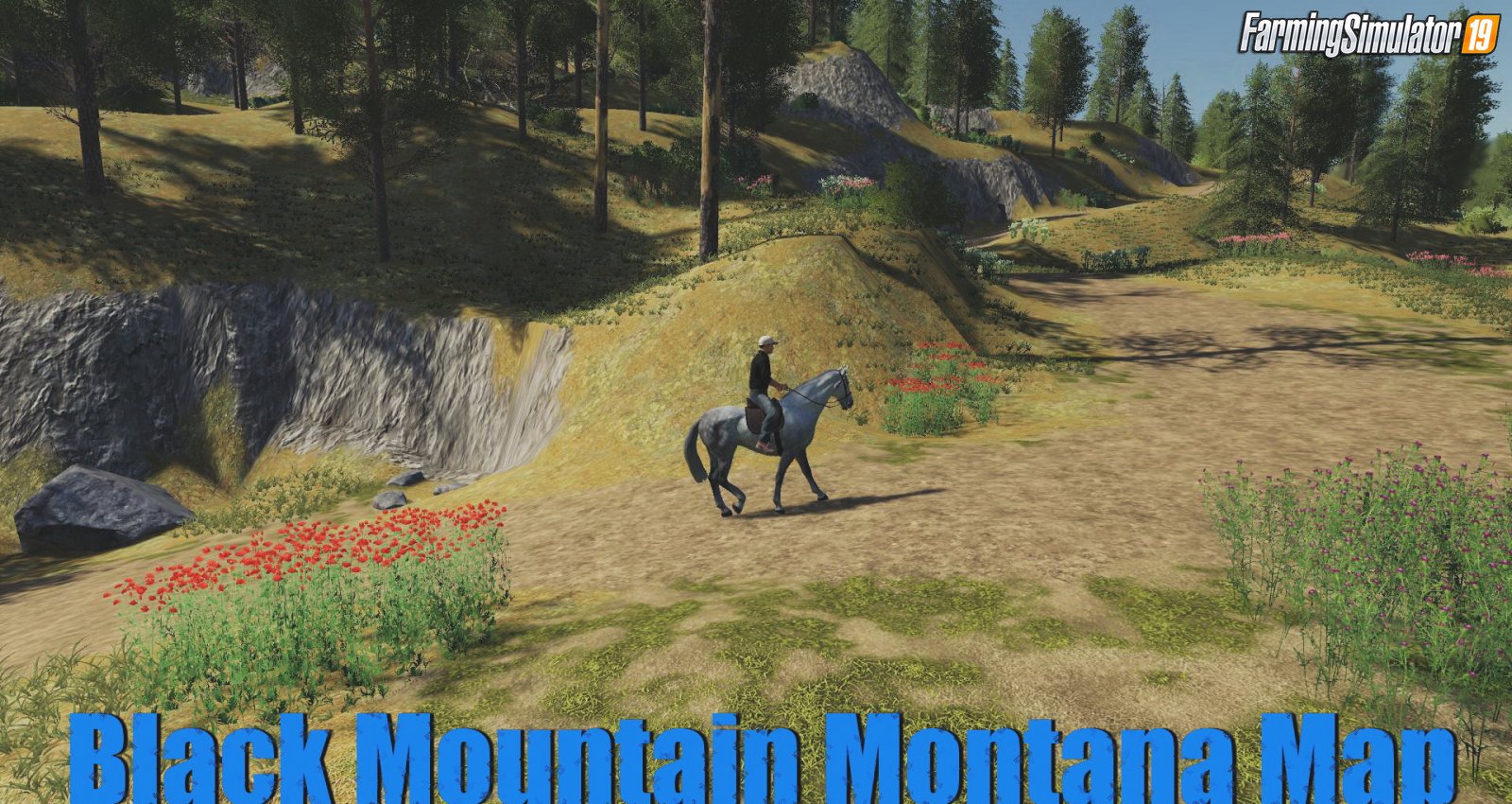 Black Mountain Montana Map v1.0 for FS19