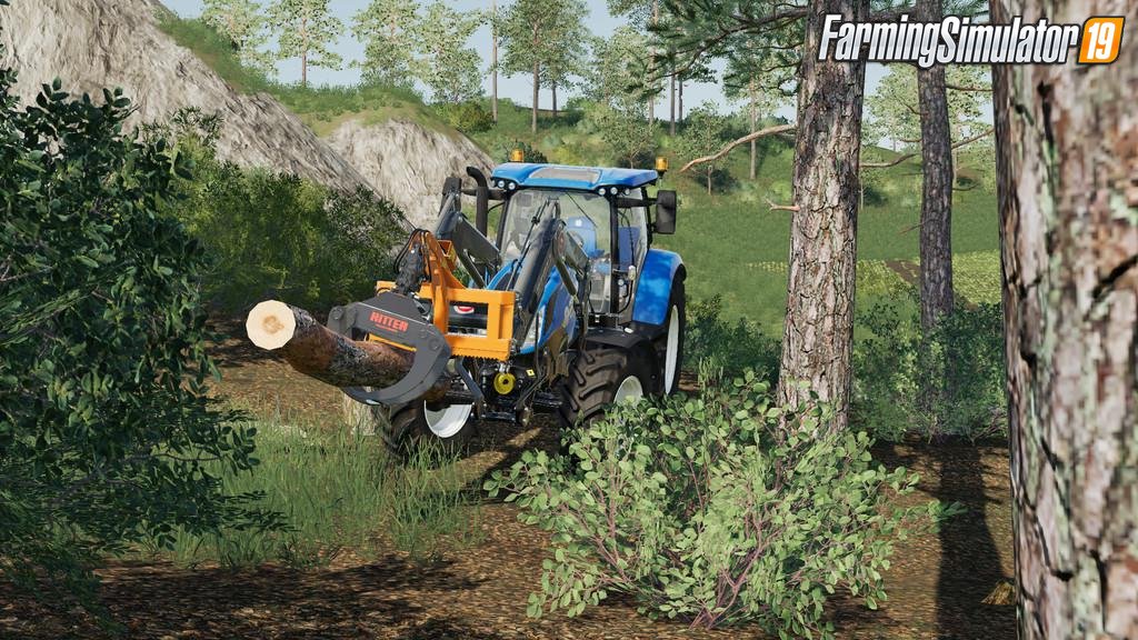 Ritter FG45 v1.0 for FS19