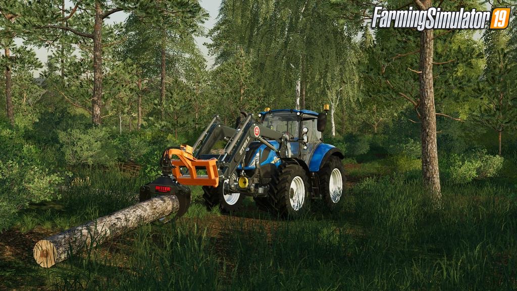 Ritter FG45 v1.0 for FS19