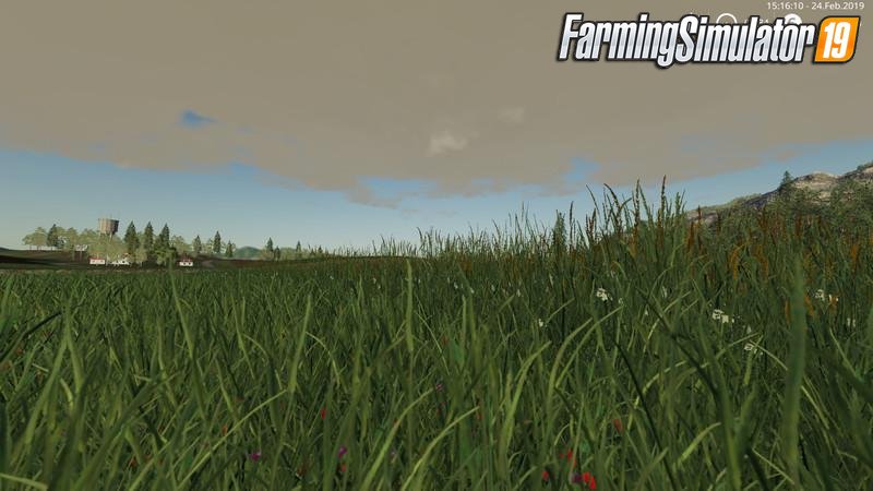 Grass Texture Mod v1.0 by mpffh for FS19