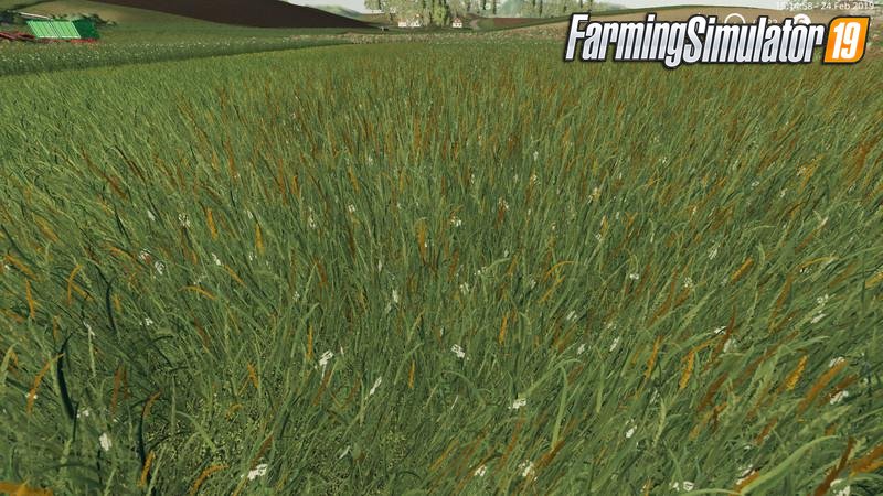 Grass Texture Mod v1.0 by mpffh for FS19