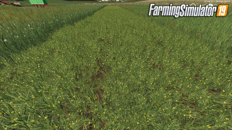 Grass Texture Mod v1.0 by mpffh for FS19