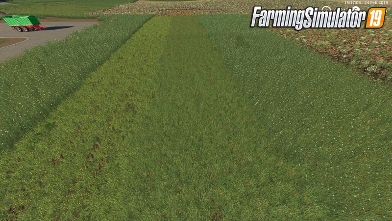 Grass Texture Mod v1.0 by mpffh for FS19