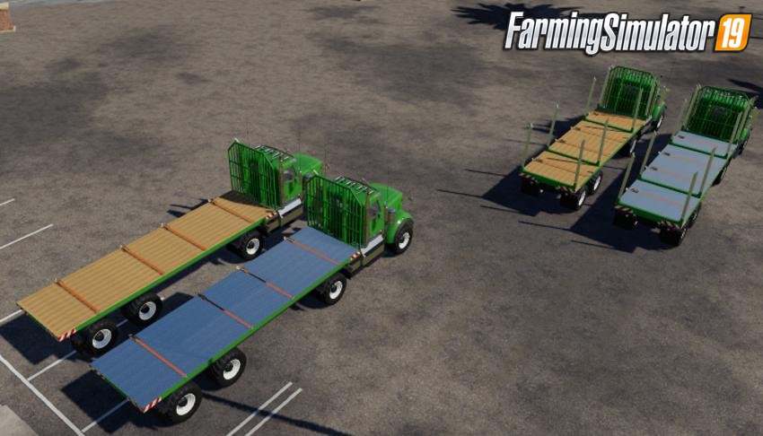 Lizard Multi Camion v1.0 for FS19