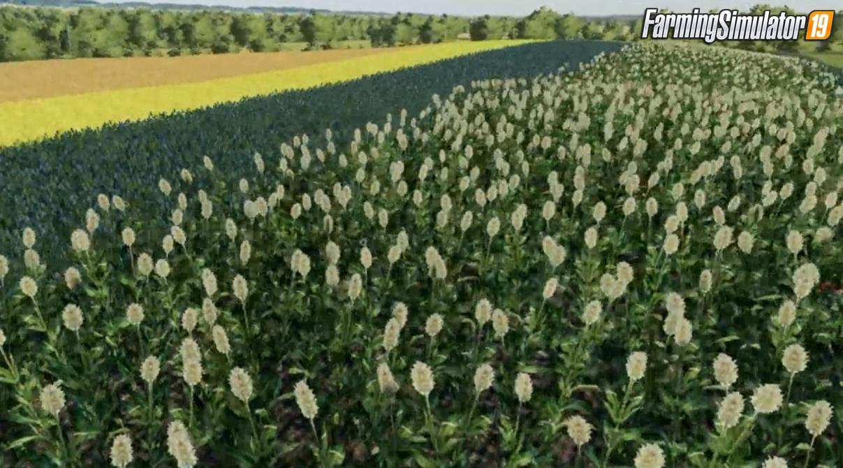 CloverCreek Plus12crops Map for FS19