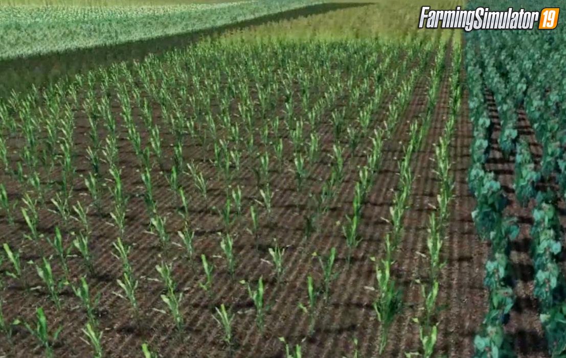 CloverCreek Plus12crops Map for FS19