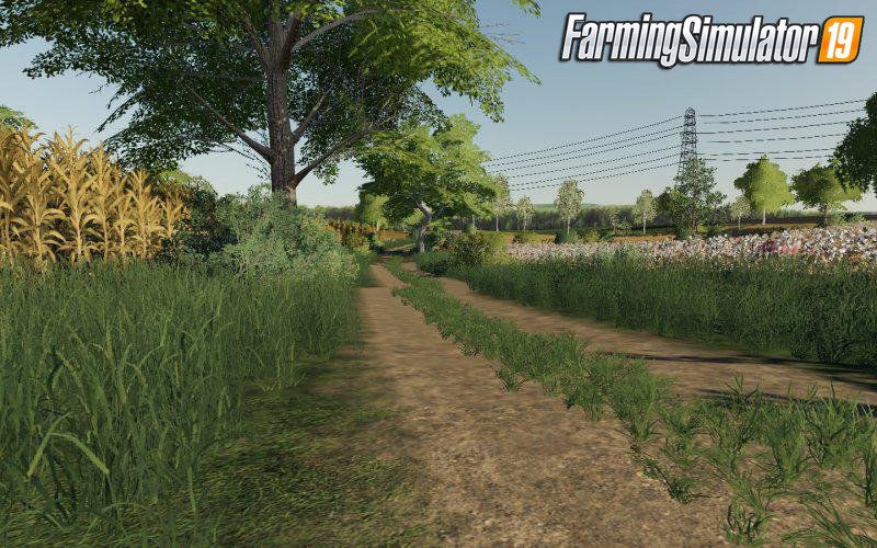 Starowies Map for FS19