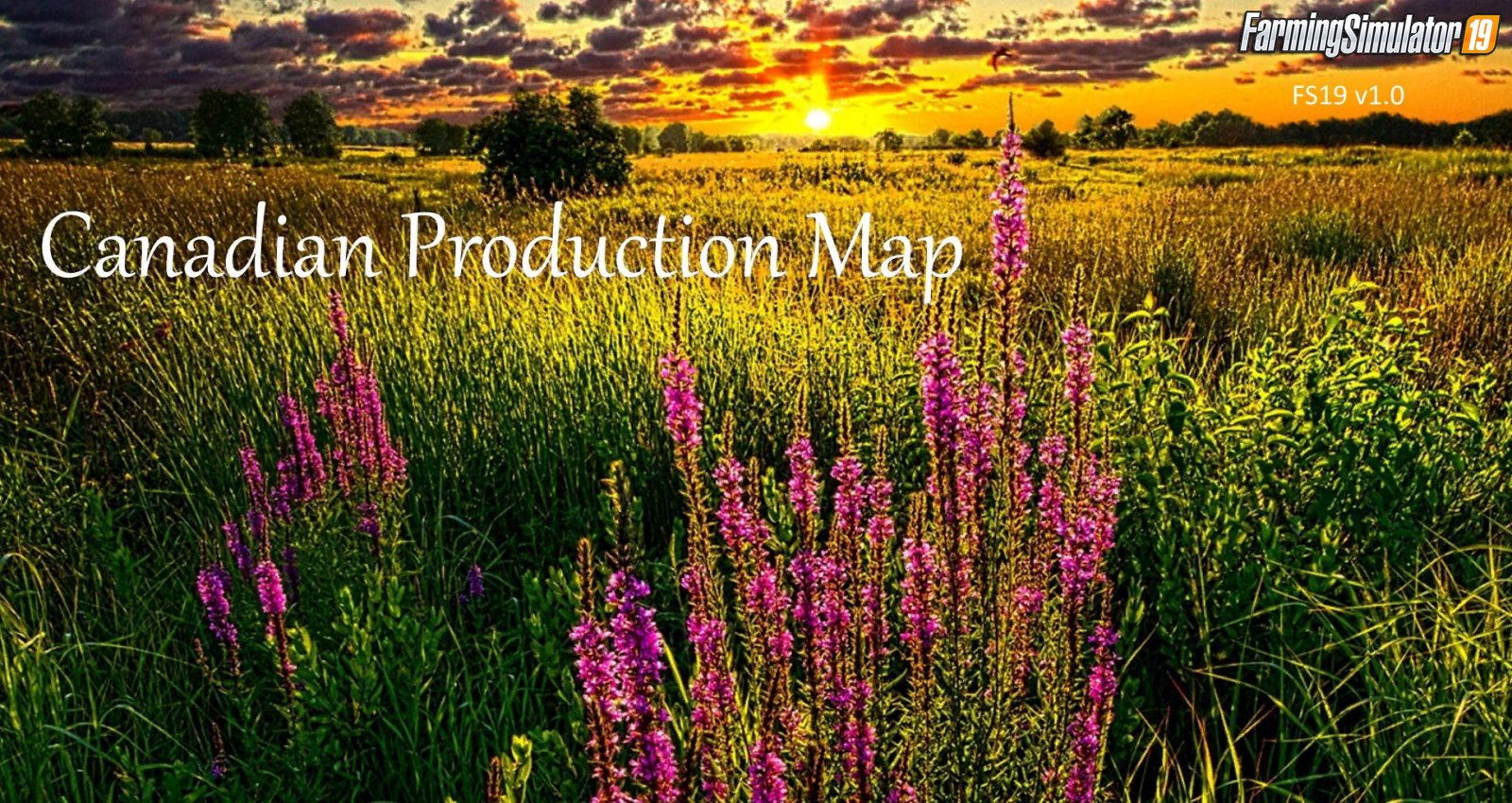 Canadian Production Map 19 for FS19