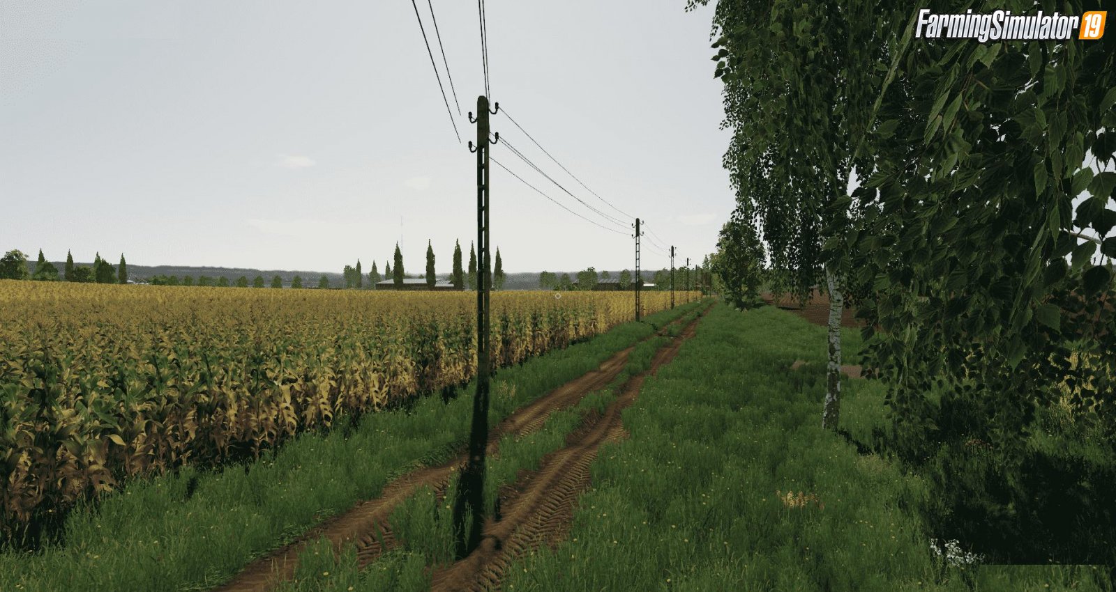 Goliszew Map by Yazu for FS19