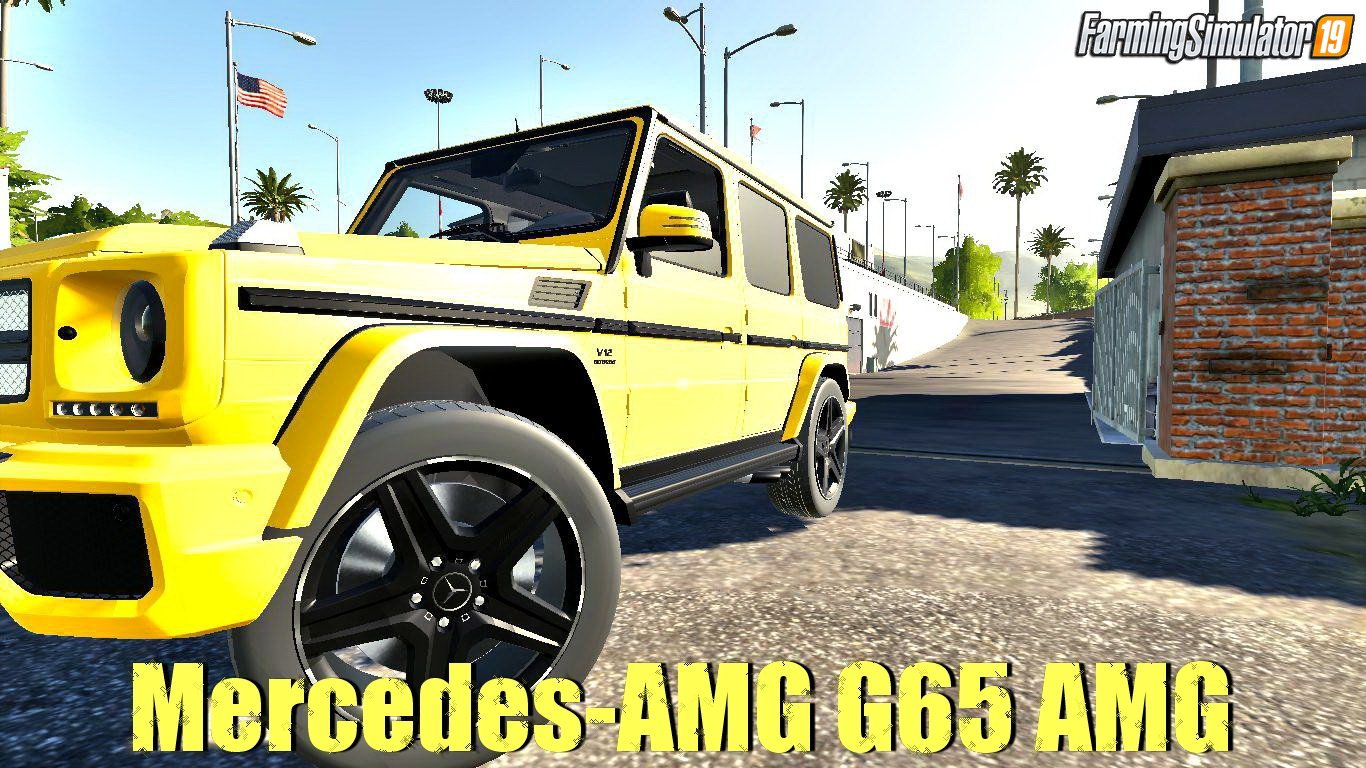 Mercedes-Benz AMG G65 AMG v2.0 for FS19