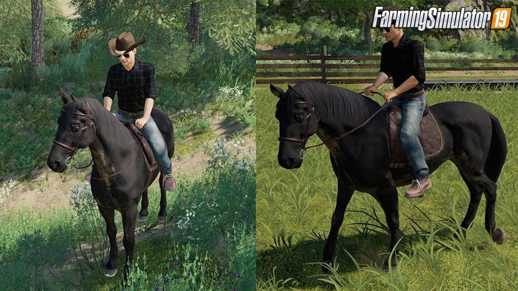 Cowboy Hat Mod for FS19