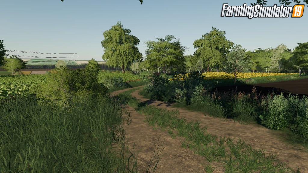 Starowies Map v1.0 for FS19