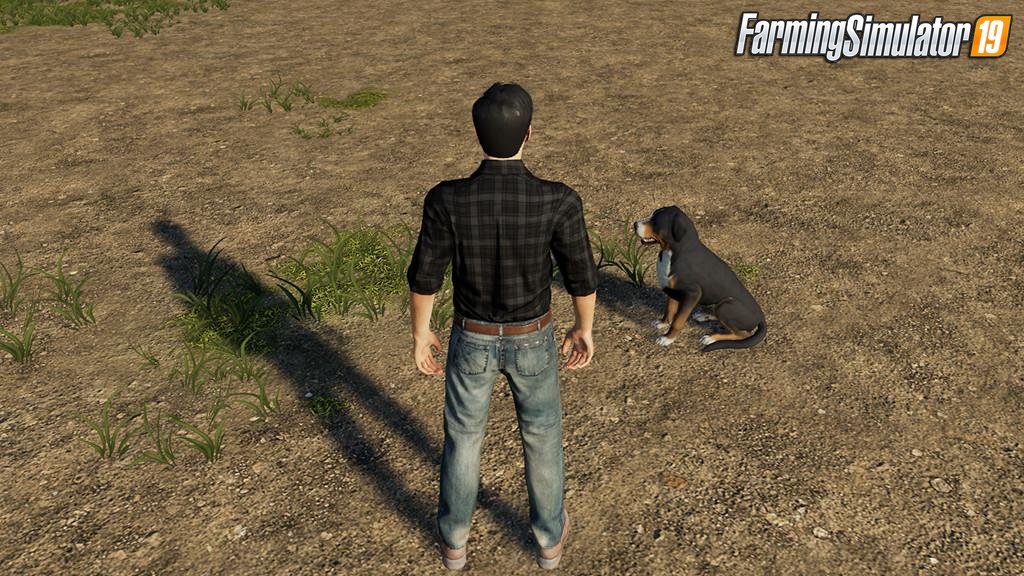 3RD PERSON V1.5.0.1 – FS22 mod