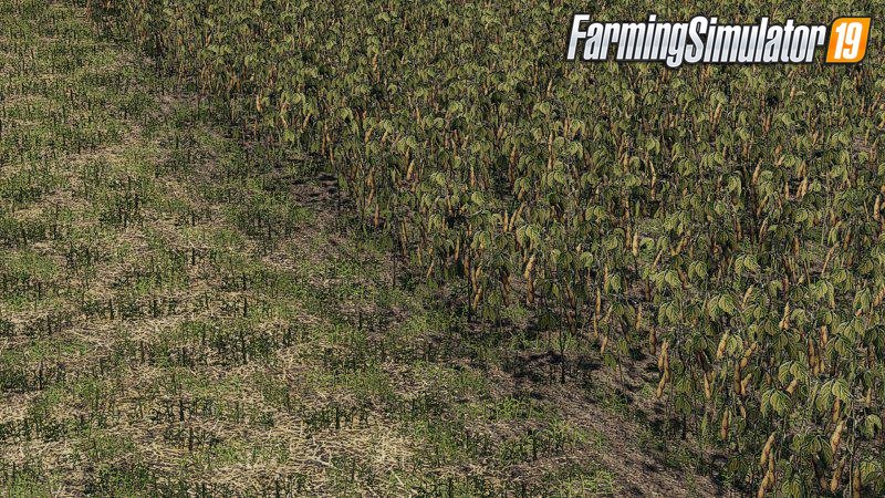 Oat, Soybean, Oilseed radish, Sugar Beet v1.0 for FS19