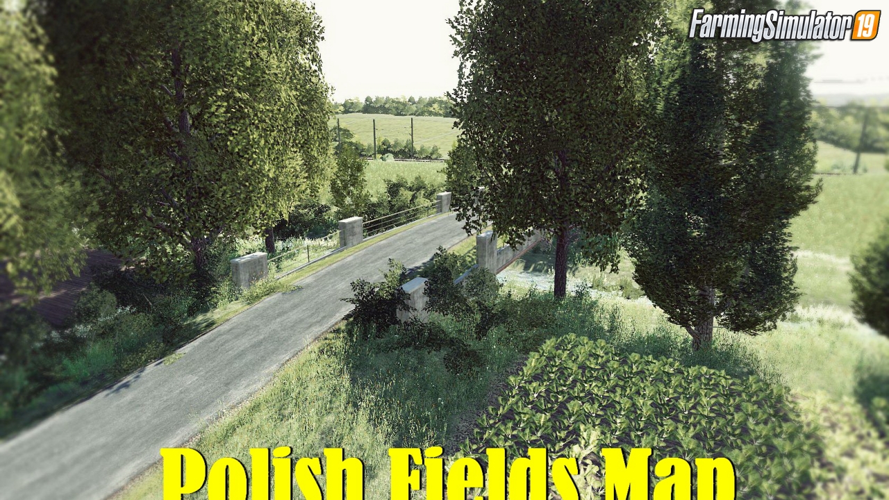 Polish Fields Map v1.0 for FS19