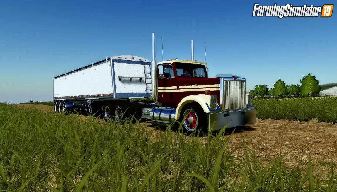 International Eagle 9300 1989 v1.0 for FS19