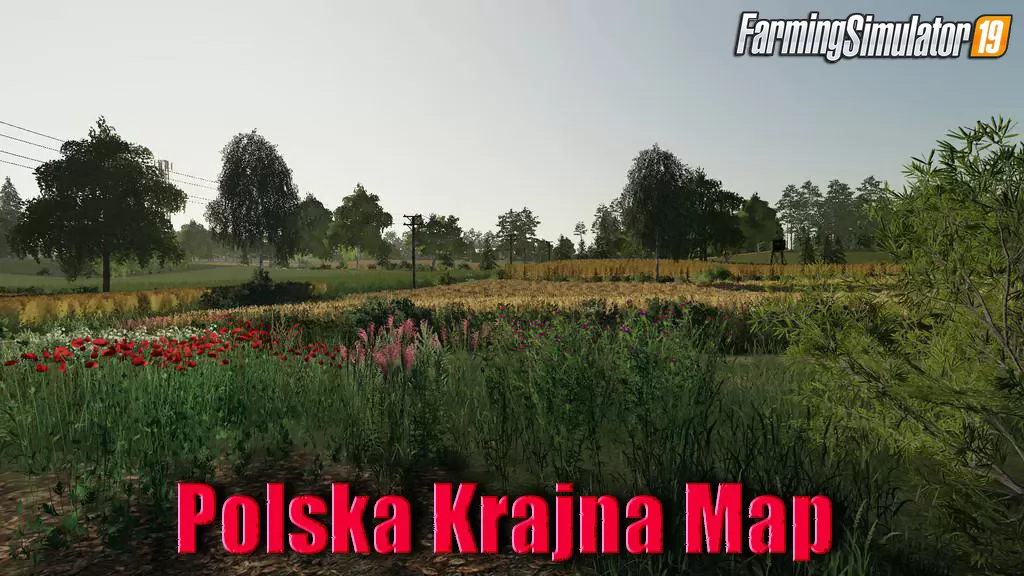 Polska Krajna Map v1.0 for FS19