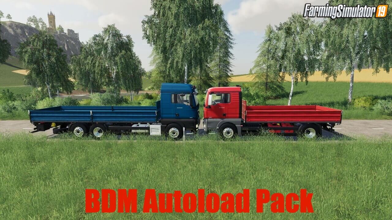 BDM Autoload Pack v3.5 for FS19