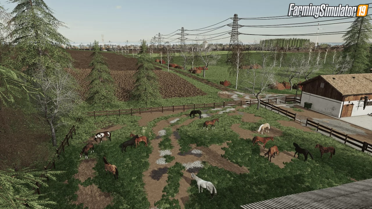 Goliszew Map for FS19