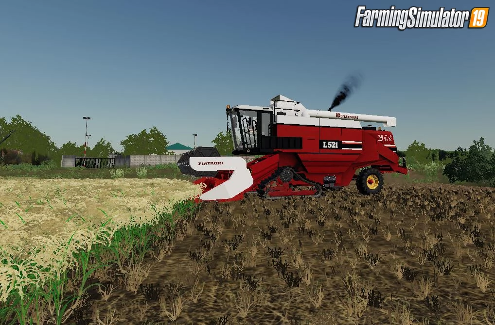 ITALIAN RICE Map for FS19