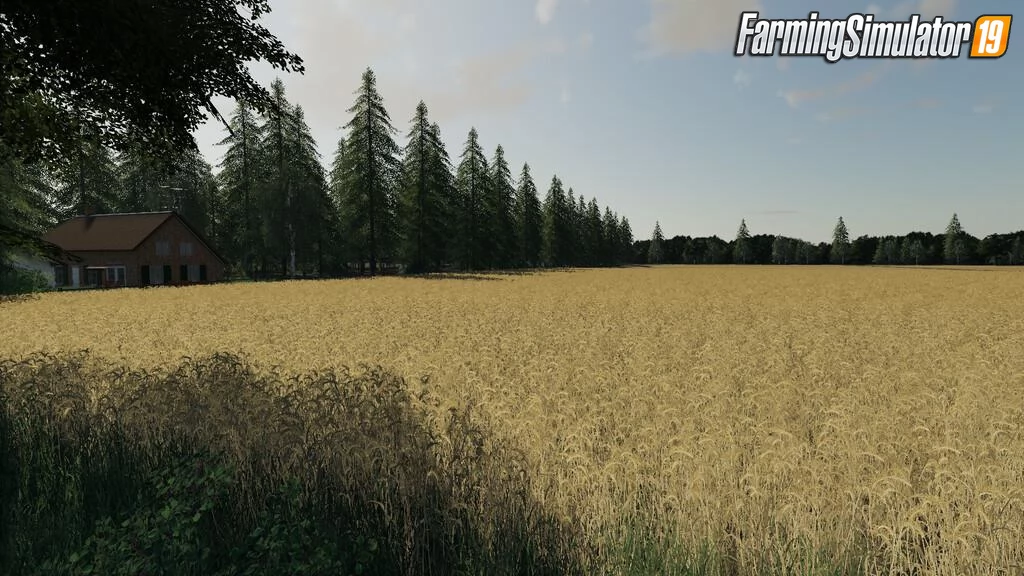 Hollandscheveld Map by Dutchfield123 for FS19