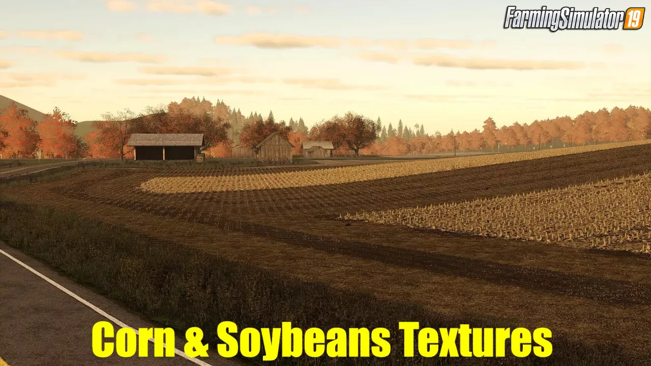 Corn & Soybeans Textures v4.0 for FS19