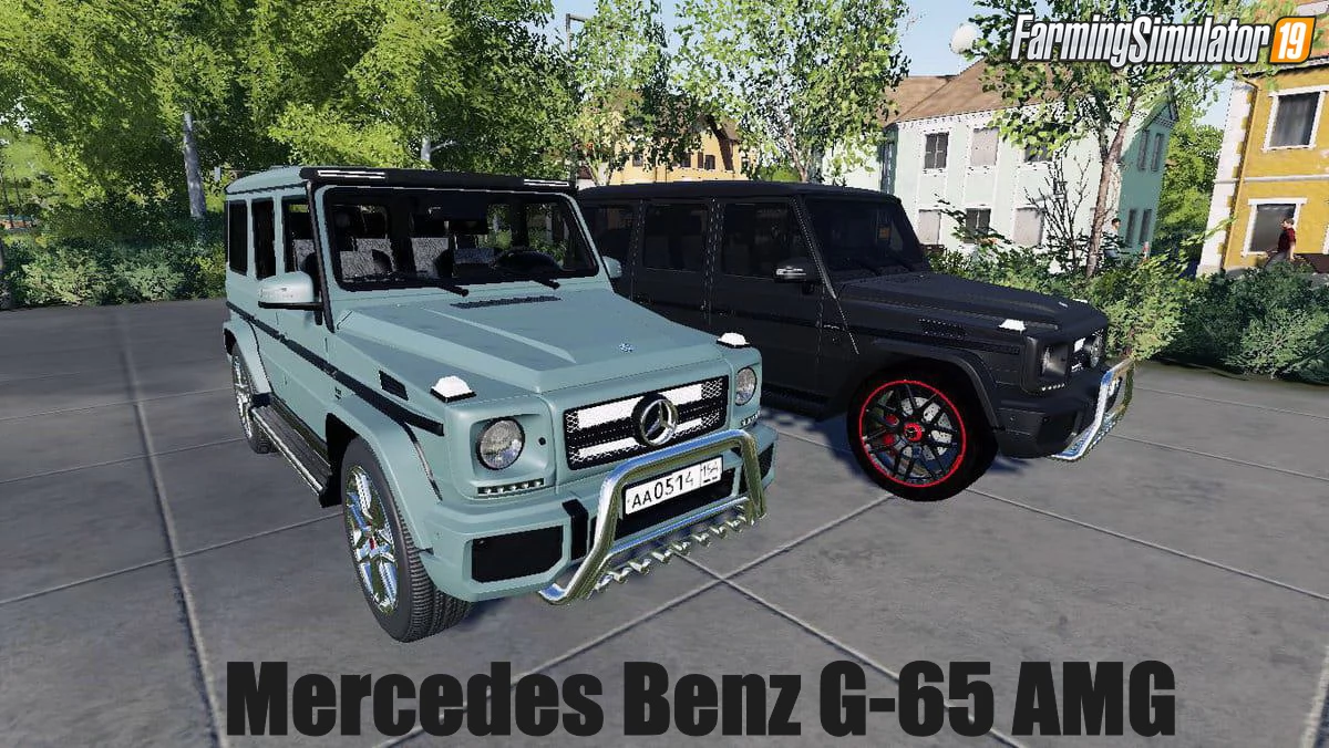 Mercedes Benz G-65 AMG v1.0 for FS19