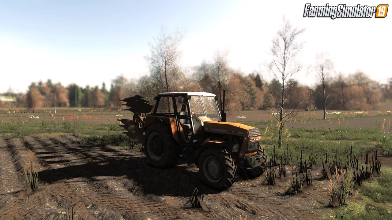 Reshade Settings v1.0 for FS19