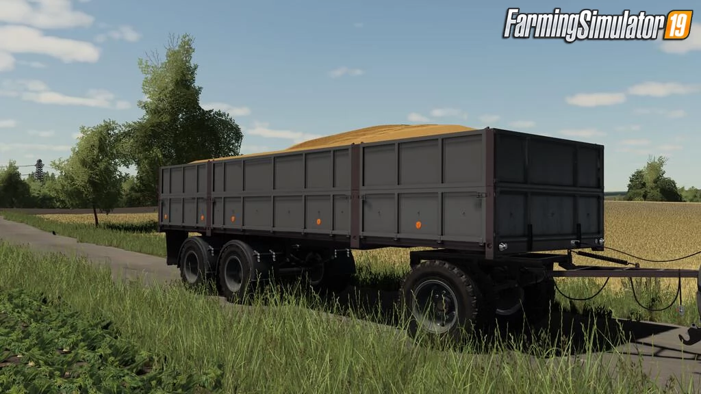 Lizard D882 Trailer v1.2 for FS19