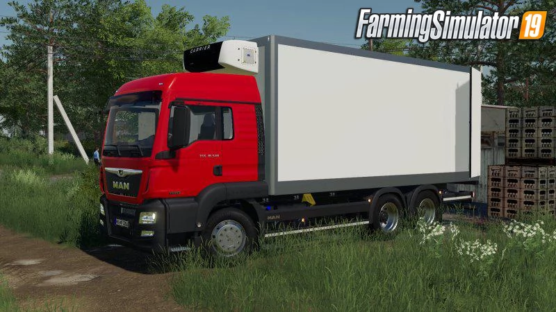 MAN TGS LX Truck for FS19