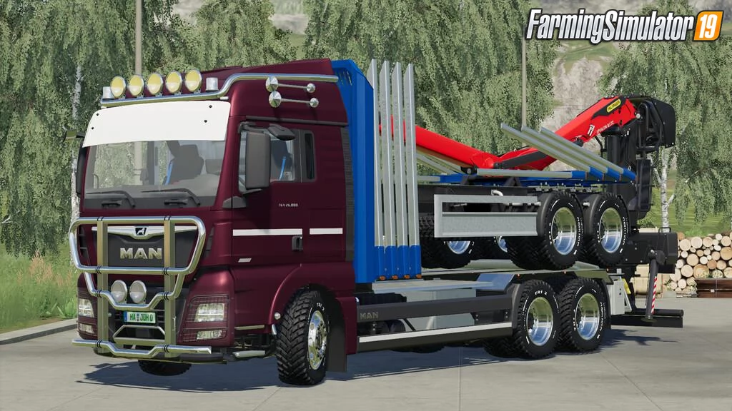 MAN TGX Forest Special Truck v1.0.0.1 for FS19