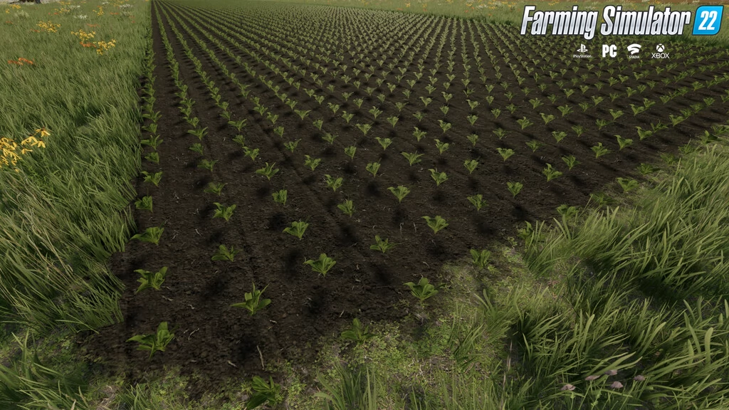 Grow Now Mod v1.0.5.1 By ViperGTS96 for FS22