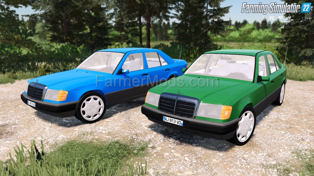 Mercedes-Benz W124 250D v1.2.1 for FS22