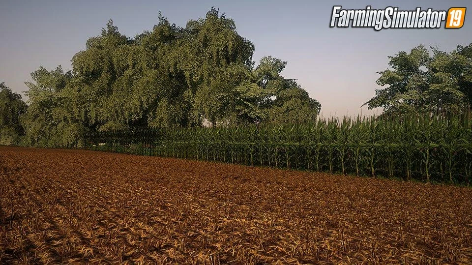 Corn and Soybean textures v1.0 for FS19