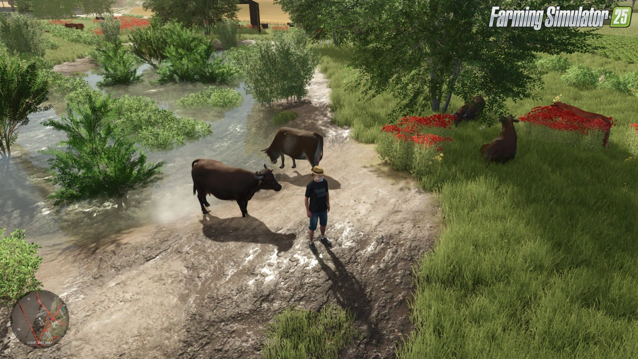 Baraitaru Map v1.0.0.5 for FS25